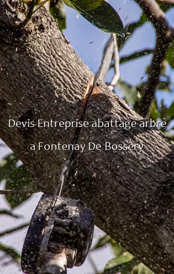 Devis Entreprise abattage arbre a Fontenay De Bossery