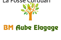 elagage-bm-elagueur