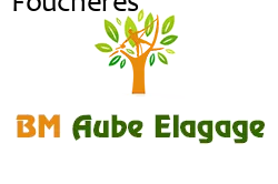 elagage-bm-elagueur