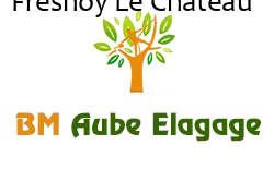 elagage-bm-elagueur