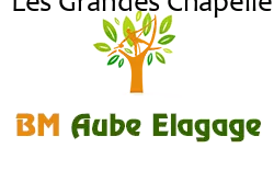 elagage-bm-elagueur