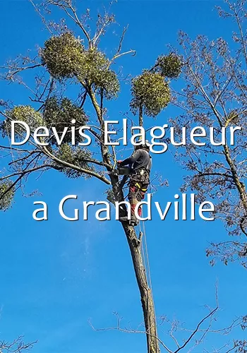 Devis Elagueur a Grandville