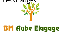 elagage-bm-elagueur