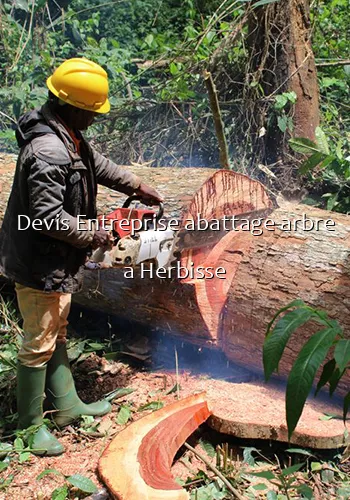 Devis Entreprise abattage arbre a Herbisse