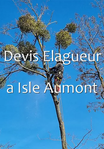 Devis Elagueur a Isle Aumont