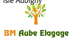 elagage-bm-elagueur