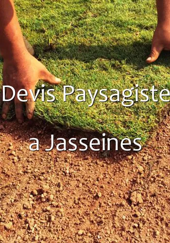 Devis Paysagiste a Jasseines