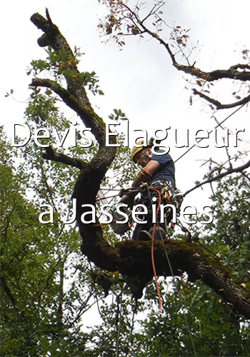 Devis Elagueur a Jasseines