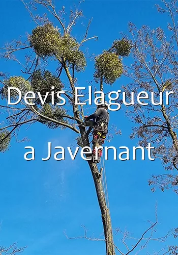 Devis Elagueur a Javernant