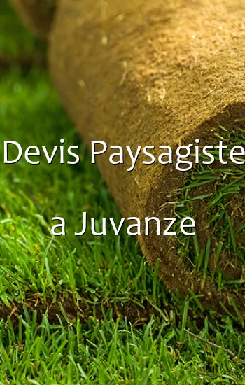 Devis Paysagiste a Juvanze