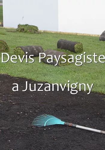 Devis Paysagiste a Juzanvigny