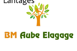 elagage-bm-elagueur