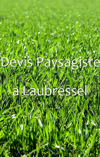 Devis Paysagiste a Laubressel