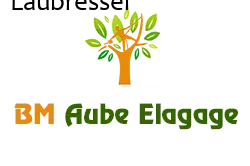 elagage-bm-elagueur