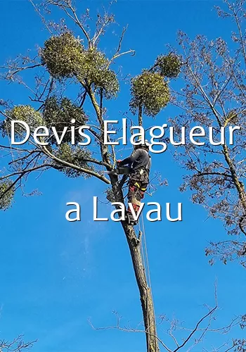 Devis Elagueur a Lavau