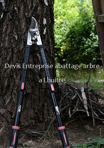 Devis Entreprise abattage arbre a Lhuitre