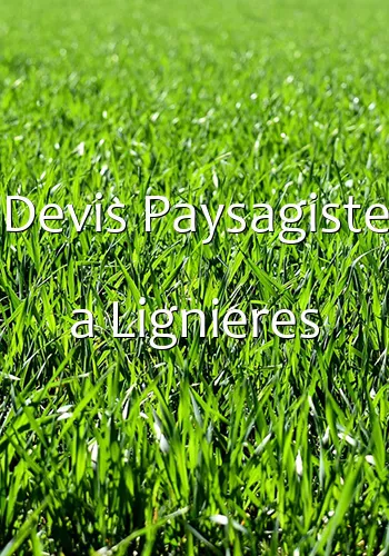 Devis Paysagiste a Lignieres