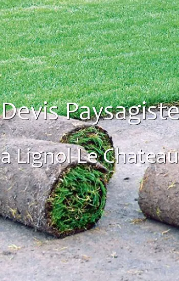 Devis Paysagiste a Lignol Le Chateau