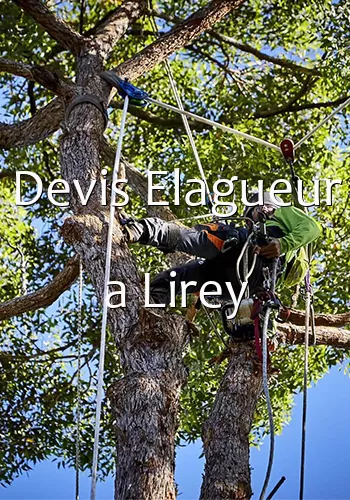 Devis Elagueur a Lirey