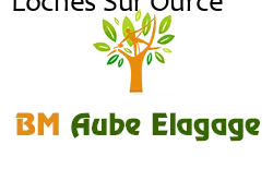 elagage-bm-elagueur