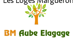 elagage-bm-elagueur