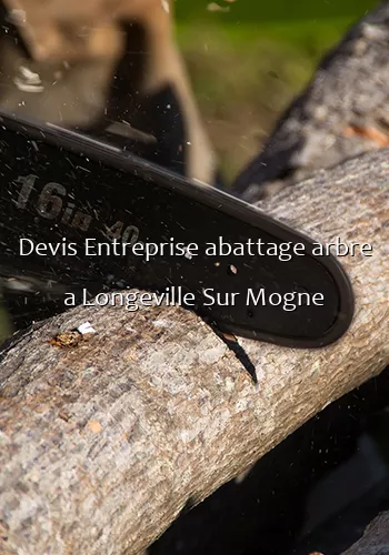 Devis Entreprise abattage arbre a Longeville Sur Mogne