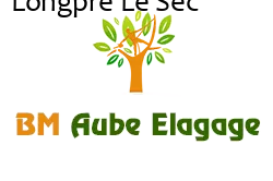 elagage-bm-elagueur