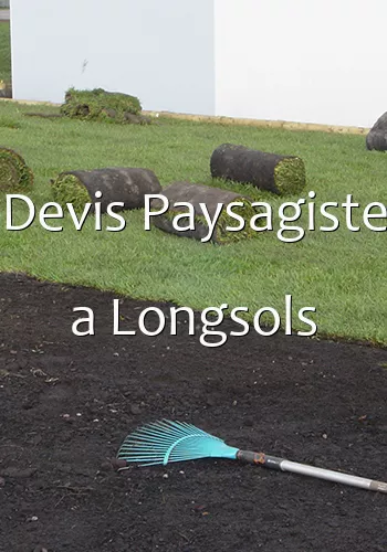 Devis Paysagiste a Longsols