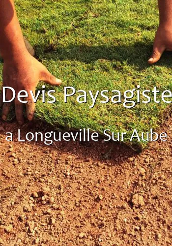 Devis Paysagiste a Longueville Sur Aube