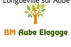 elagage-bm-elagueur