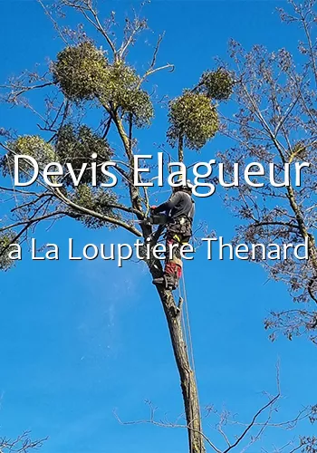 Devis Elagueur a La Louptiere Thenard