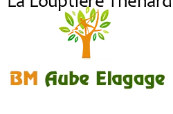 elagage-bm-elagueur