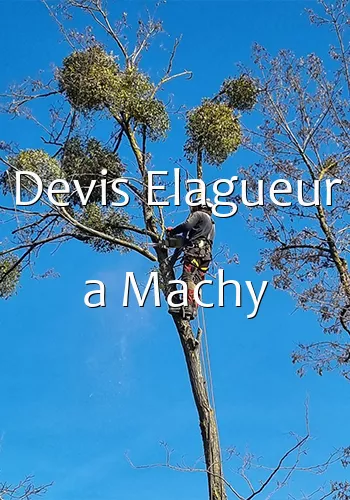 Devis Elagueur a Machy