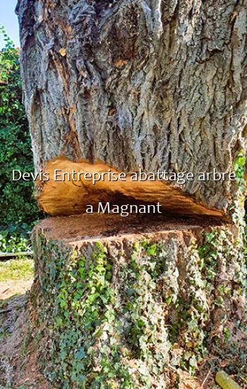 Devis Entreprise abattage arbre a Magnant