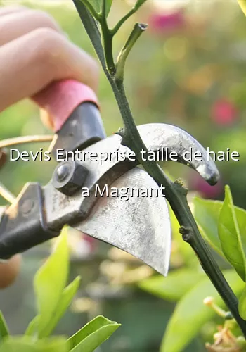 Devis Entreprise taille de haie a Magnant