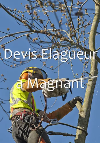 Devis Elagueur a Magnant