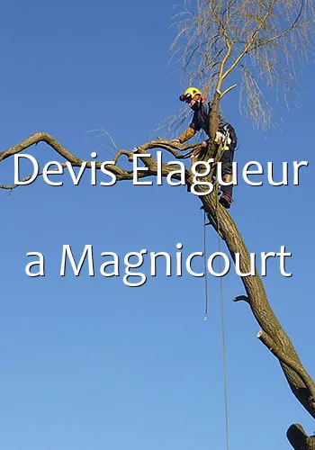 Devis Elagueur a Magnicourt