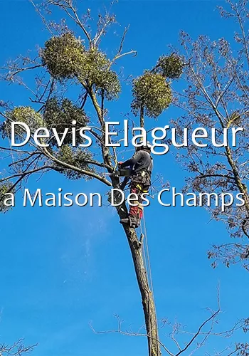 Devis Elagueur a Maison Des Champs