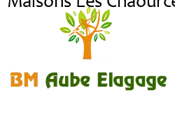 elagage-bm-elagueur