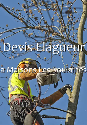 Devis Elagueur a Maisons Les Soulaines