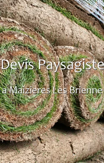 Devis Paysagiste a Maizieres Les Brienne