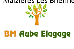 elagage-bm-elagueur