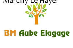 elagage-bm-elagueur