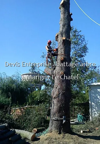 Devis Entreprise abattage arbre a Marigny Le Chatel