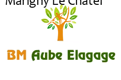 elagage-bm-elagueur