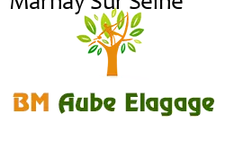 elagage-bm-elagueur