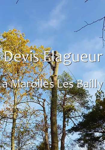 Devis Elagueur a Marolles Les Bailly