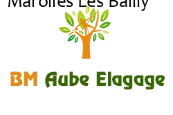 elagage-bm-elagueur