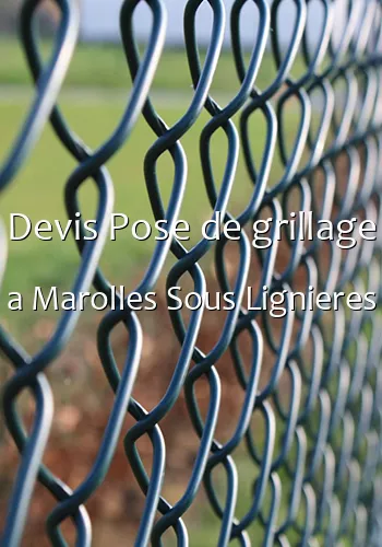 Devis Pose de grillage a Marolles Sous Lignieres