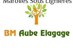 elagage-bm-elagueur